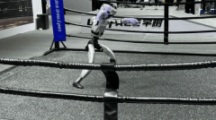 业网坐能否具备AI可见度